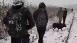 Диким зверем: собравшихся бежать в Молдавию украинцев выдала фотоловушка