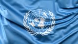 В ООН глубоко обеспокоены ситуацией с правами африканцев в Великобритании — Захарова