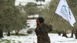 От перемирия к переговорам: «режим тишины» в Сирии остаётся зыбким