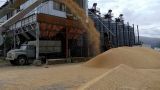 Ждали: Киев уже торгуется с судовладельцами, готовыми вывозить украинское зерно