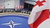 Грузия: Политика открытых дверей НАТО не должна стать политикой крутящейся двери