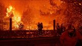 В России за сутки потушено более 1,6 тысячи гектаров лесных пожаров