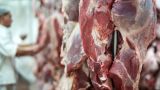 В столице Казахстана продают мясо без ветеринарного контроля — прокуратура