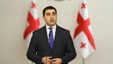 Спикер парламента призвал делать грузинскую политику на грузинские деньги