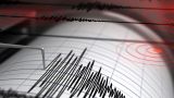 Два землетрясения произошли у берегов Южных Курил