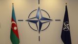 НАТО выразило готовность к широкому практическому сотрудничеству с Азербайджаном