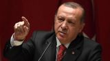 Эрдоган назвал сроки развертывания «самых сильных систем» — С-400