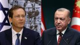 Герцог в гости к Эрдогану: Израиль учтëт мнение Греции при сближении с Турцией — СМИ