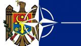 Осенью 2015 года в Молдавии откроется бюро НАТО