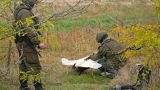 Российская армия выигрывает войну дронов: «Спас» и «Кокос» жалуются на «серое небо»