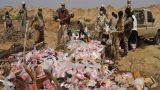 Йеменская правительственная армия уничтожила 1 158 кг гашиша
