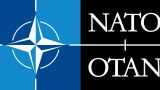 Совет НАТО посетит Грузию 3−4 октября