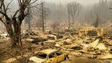 Площадь лесных пожаров в Калифорнии превысила 200 тысяч гектаров