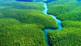 «Легкие планеты» скоро не смогут дышать: Мадуро призвал спасти Амазонку от катастрофы