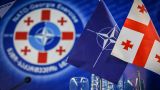 Командующий силами обороны Грузии обсудил сотрудничество с военным комитетом НАТО