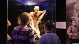 Правозащитники: Выставка «Мир тела» на ВДНХ — глумление над умершими