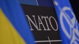 Рекордно низкое число украинцев верит во вступление в НАТО