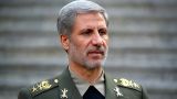 Министр обороны Ирана: США пытаются переместить боевиков ДАИШ в Афганистан