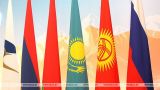 На Евразийский экономический форум в Бишкек приедет только Токаев