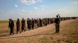 На востоке Сирии освободили около 300 «сбившихся с пути» сторонников ИГ