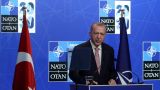 НАТО в деталях: в Турции обнародовали 10 требований Эрдогана к Швеции и Финляндии