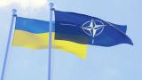 На Украине обнаружили юридическое препятствие для вступления в НАТО