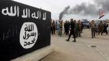 Иракские силовики арестовали медика, лечившего боевиков «Исламского государства»