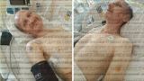Нападение военных на братию Святогорской лавры УПЦ: подробности от раненого