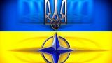 Министр обороны Украины пообещал помочь НАТО в Афганистане и Ираке