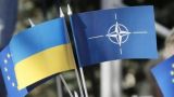 В НАТО похвалили Киев за борьбу с коррупцией, назвав ее «гибридной угрозой»