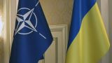 Newsweek: Германия не позволит Украине вступить в НАТО