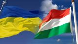 В Венгрии заявили о нарушении прав национальных меньшинств на Украине