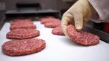 В России готовится запуск производства растительного мяса