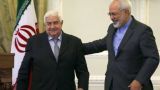 Главы МИД Ирана и Сирии обсудили перемирие в САР
