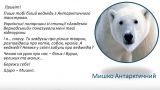 Украинские школьники на онлайн-уроке узнали про белых медведей в Антарктиде