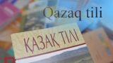 Назарбаев хочет ускорить перевод казахского языка на латиницу
