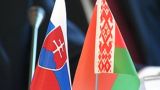 Белоруссия и Словакия расширяют научно-техническое сотрудничество