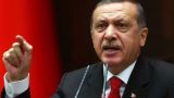 Эрдоган о прекращении обстрелов Сирии: Даже и не подумаем