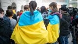 Мэрия Тбилиси прекратила жилищную программу для украинских беженцев