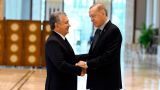 Президент Узбекистана призвал жителей Турции голосовать на выборах за Эрдогана