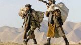 Афганистан: война между ИГИЛ и Талибаном неизбежна?