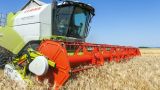 План на 1,1 млн тонн зерна: в Нижегородской области начали убирать урожай