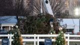 Прямо как Байден: в Вашингтоне упала главная рождественская елка