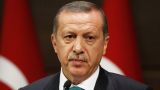 Эрдоган призвал Россию и Украину к прекращению огня