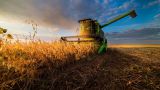 Урожай пшеницы на Украине в этом году будет ниже прошлогоднего — Der Spiegel
