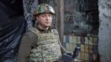 В «войне с Россией» юрист Зеленский надругался над законами Украины