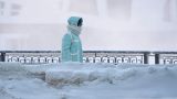 Гидрометцентр: С 7 февраля в европейской части России начнутся сильные морозы