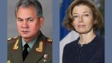 Министры обороны России и Франции обсудили взаимодействие в регионах