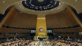 Абхазия попросила статус государства-наблюдателя в ООН