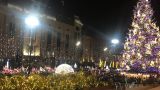 Рождественская ёлка Саакашвили: как прошел митинг оппозиции в Тбилиси